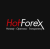 hotforex-logo